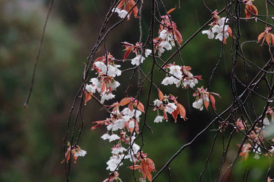 ���}�U�N��