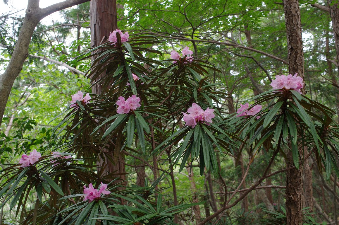 �z�\�o�V���N�i�Q