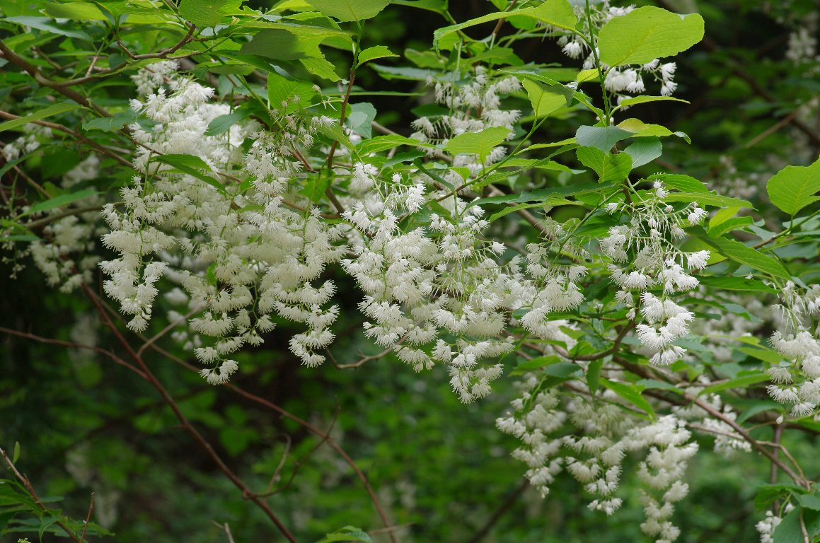 �I�I�o�A�T�K��