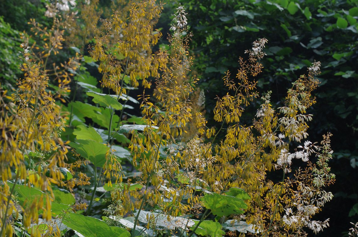 �^�P�j�O�T