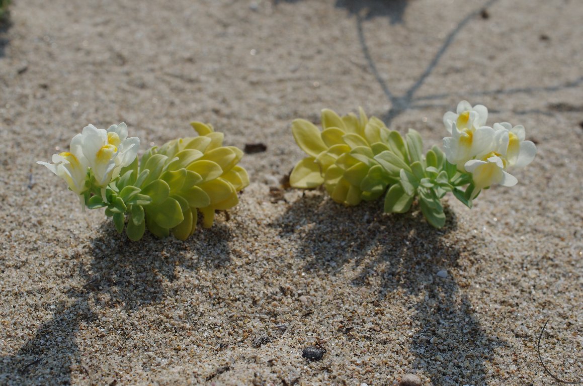 �E������