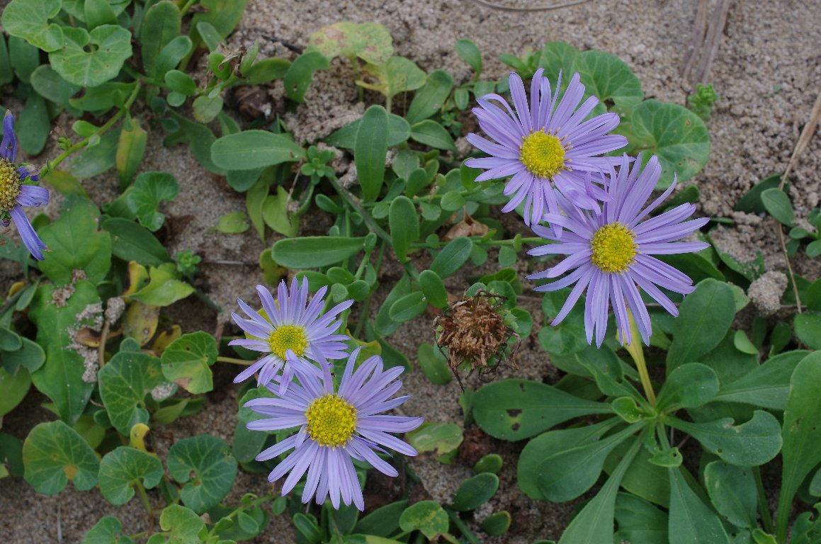 �n�}�x�m�M�N