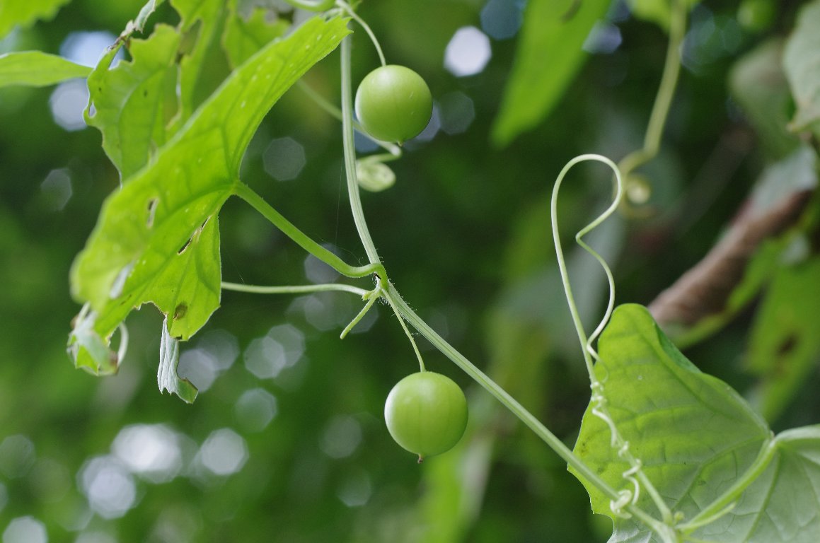 �X�Y���E��