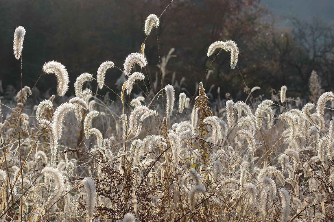 �A�L�m�G�m�R���O�T