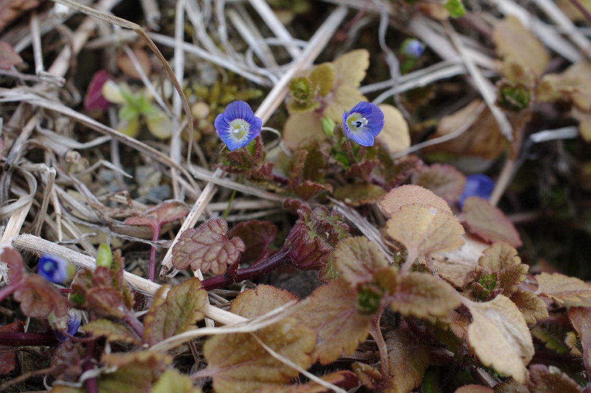 �I�I�C�k�m�t�O��