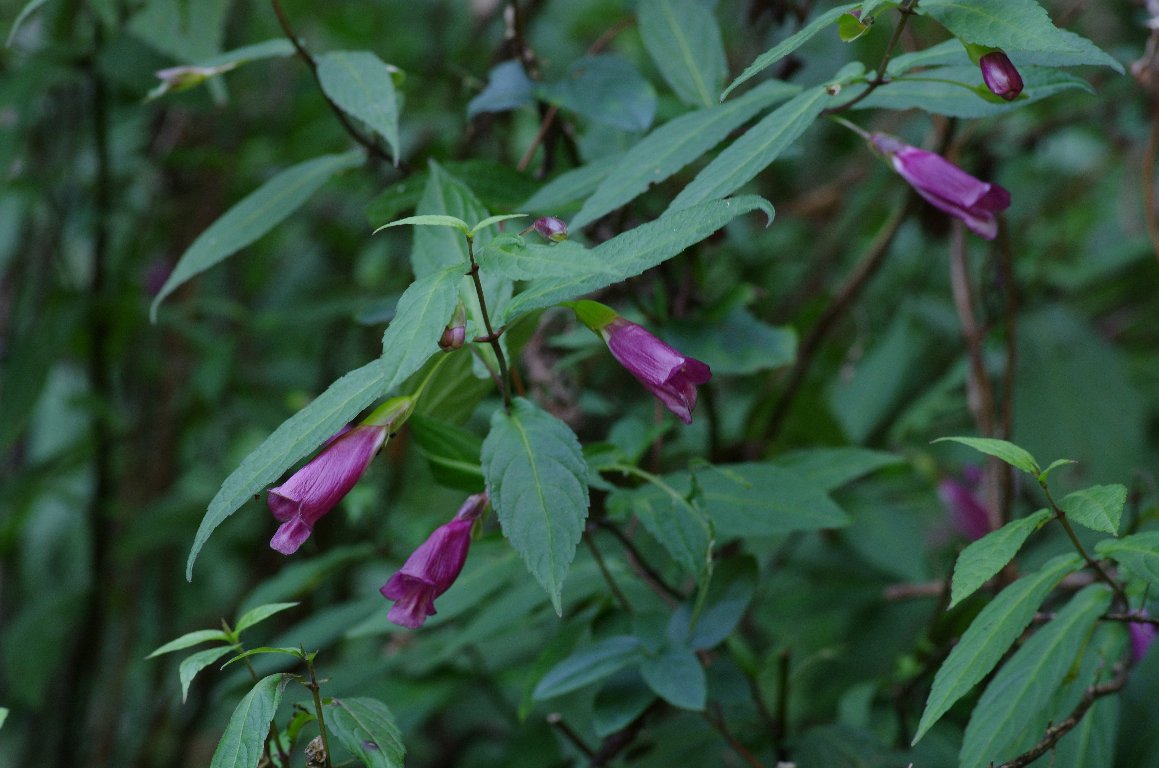 �^�j�W���R�E�\�E