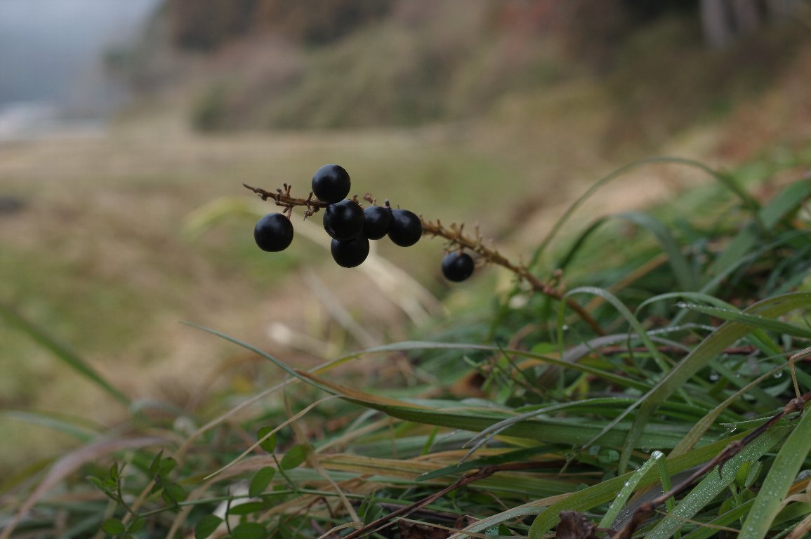 ���u����