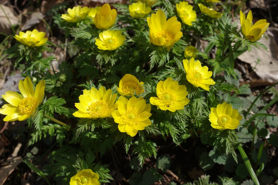 �~�`�m�N�t�N�W���\�E