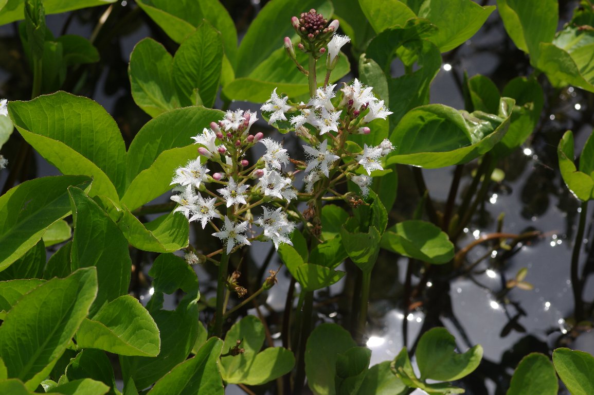 �~�c�K�V��