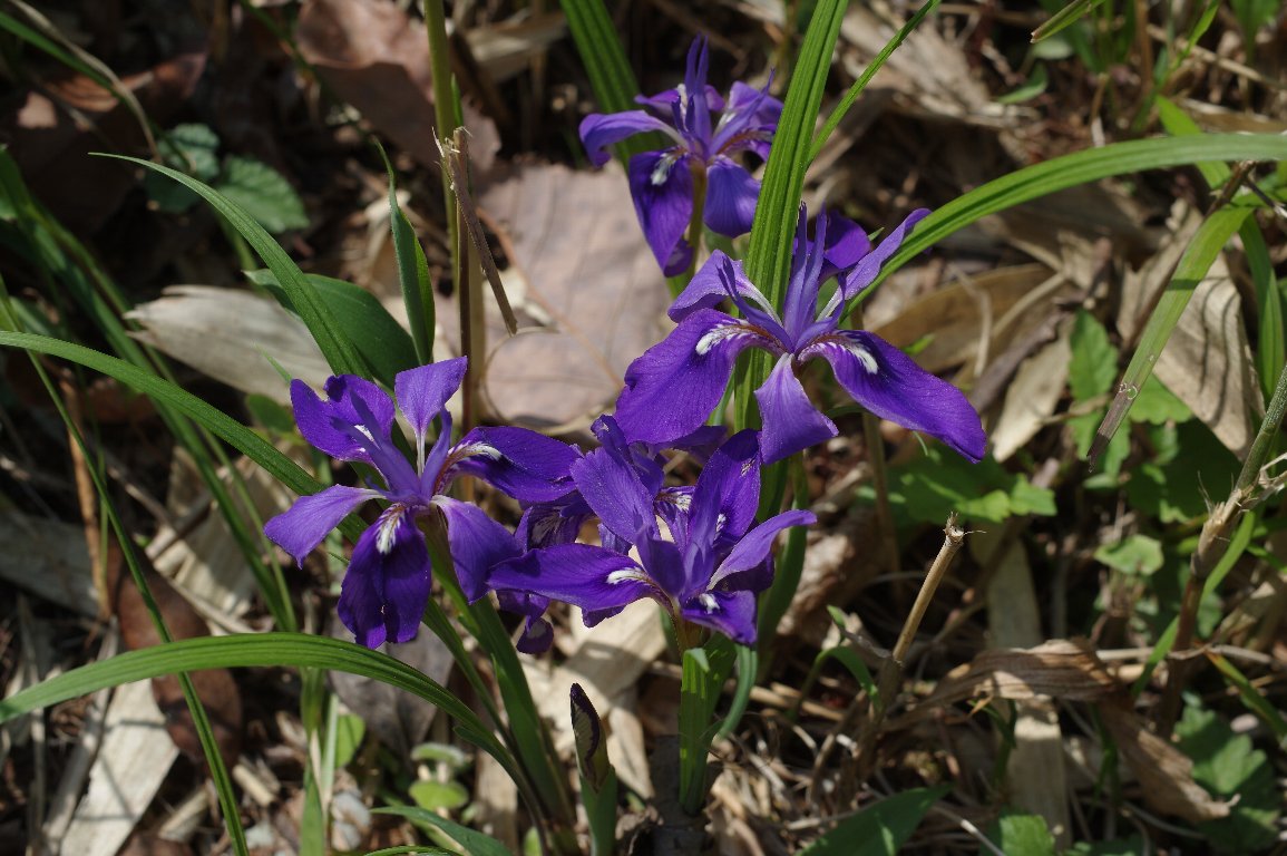 �G�q���A����