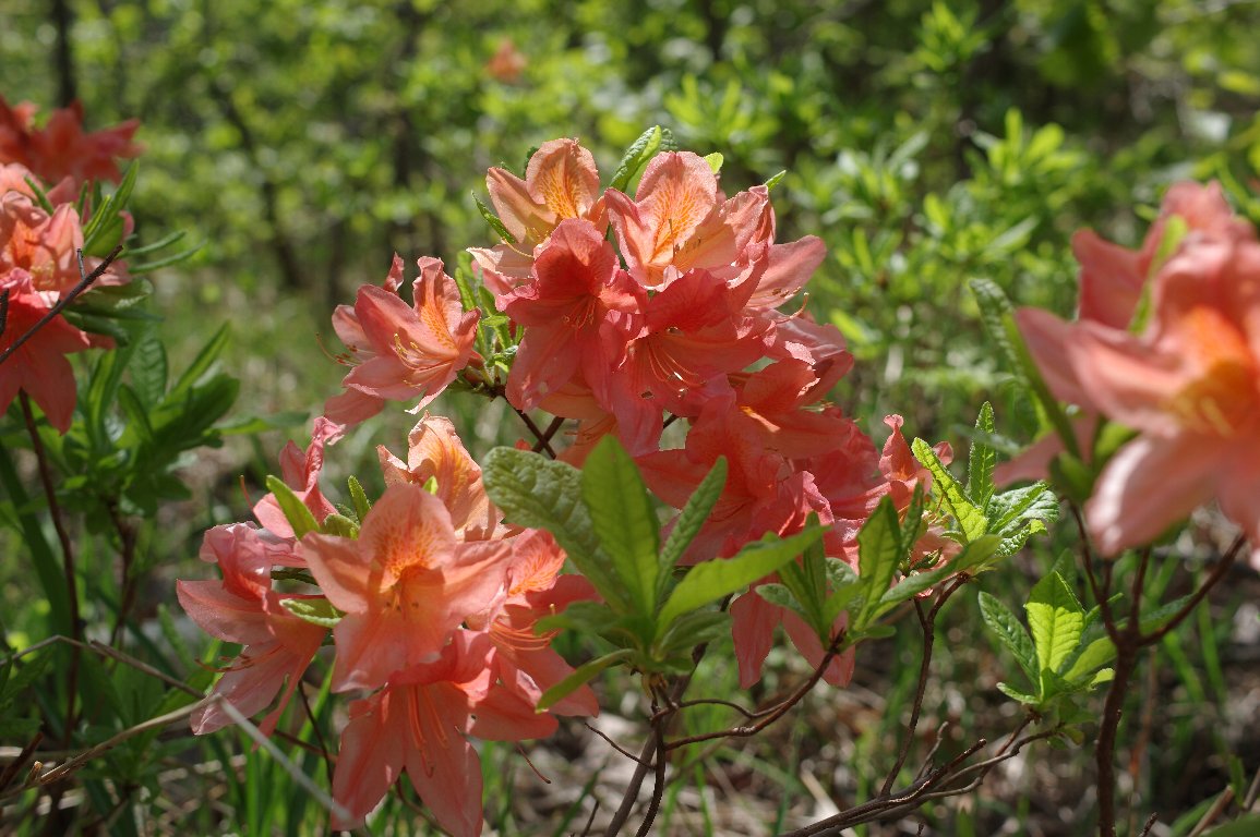 �����Q�c�c�W