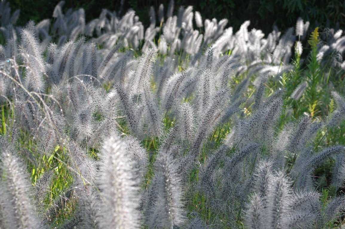 �`�J���V�o