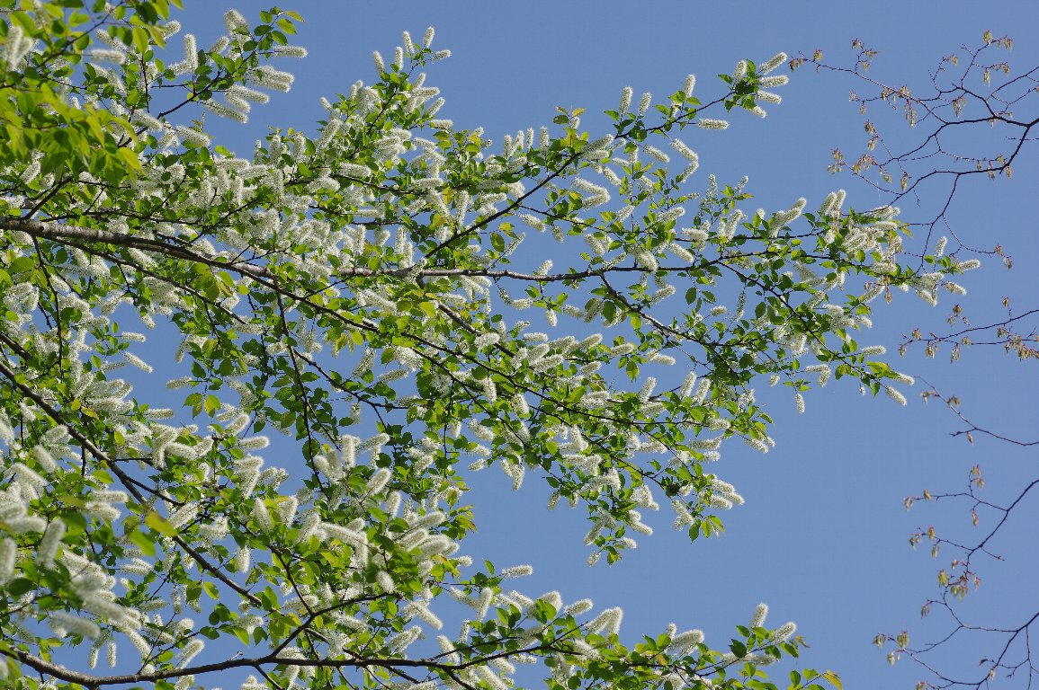 �E���~�Y�U�N��