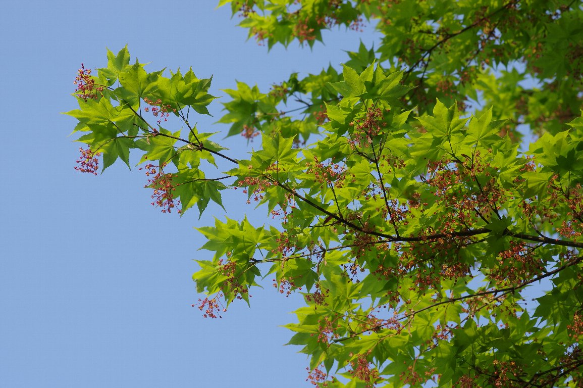 �I�I���~�W