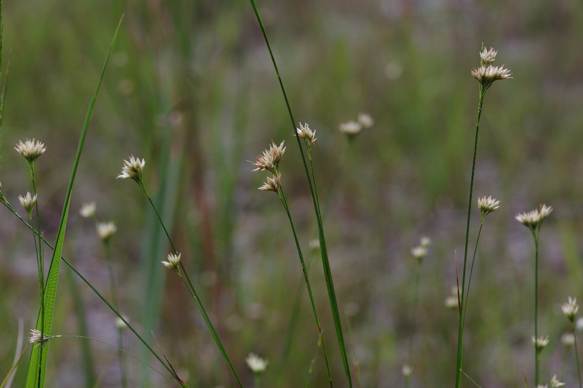 �~�J�d�L�O�T