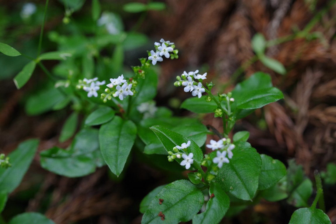 �~�Y�^�r���R