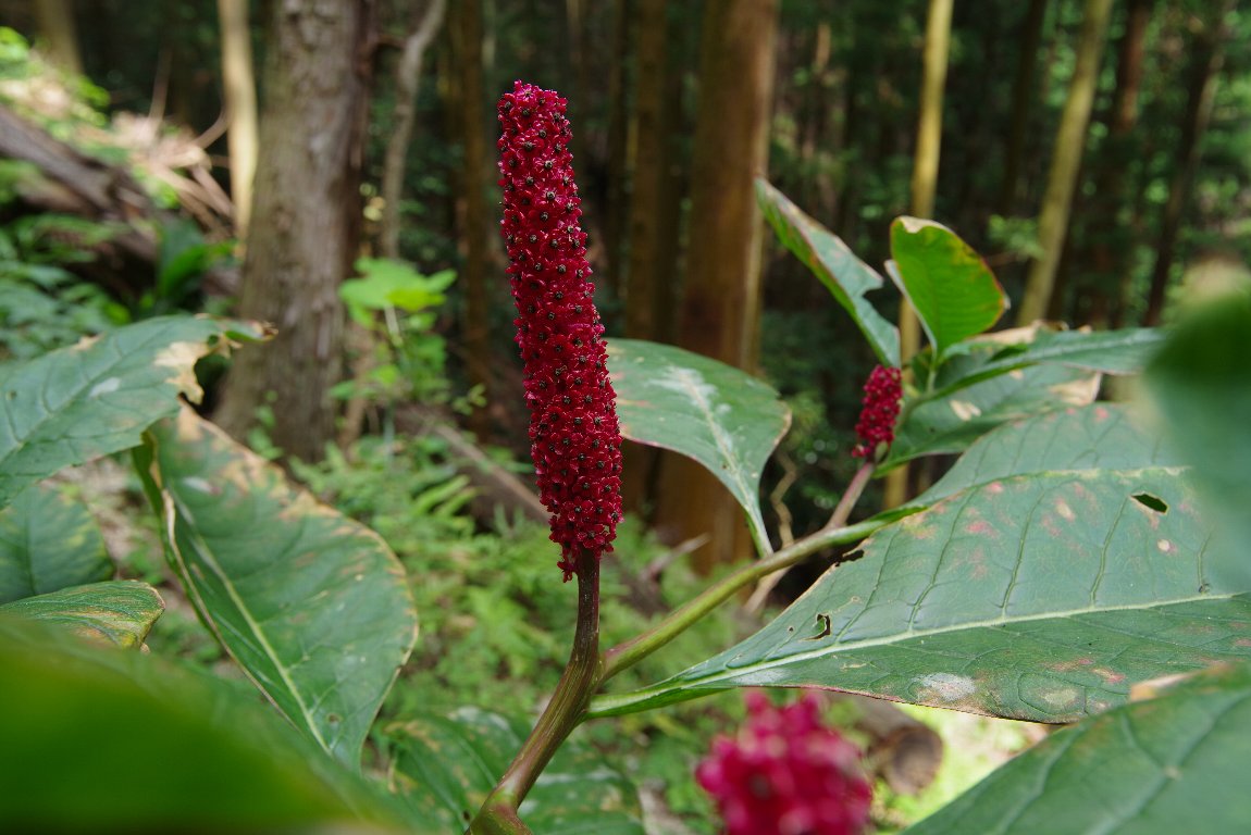 �}���~�m���}�S�{�E