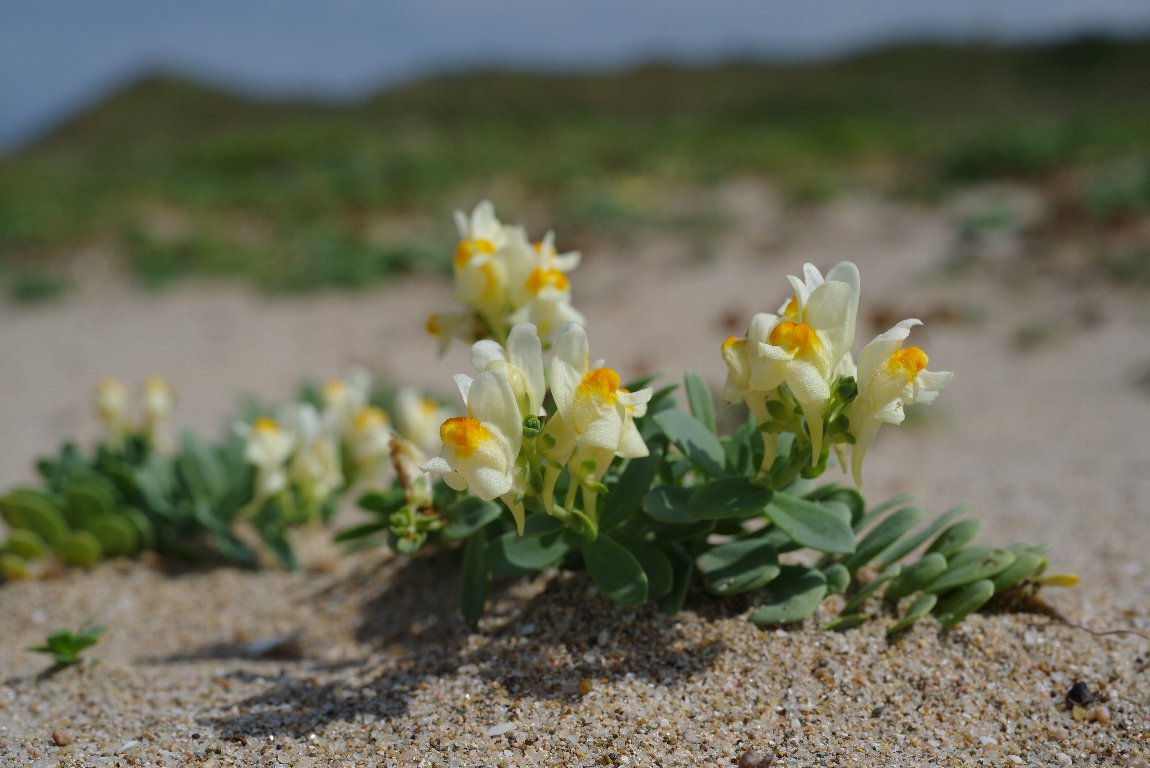 �E������