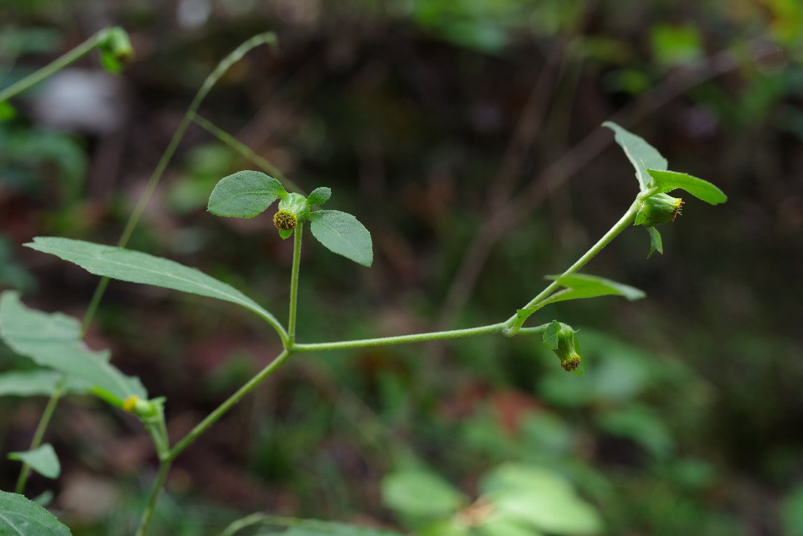 �K���N�r�\�E