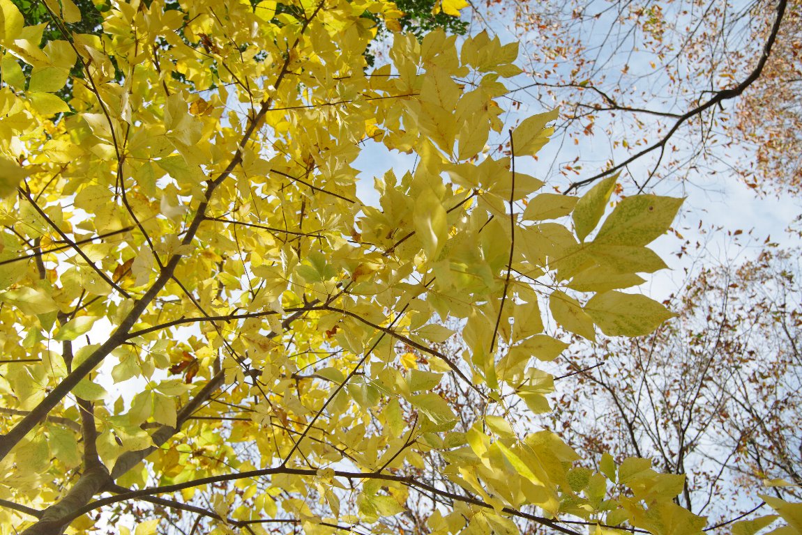 �^�J�m�c��