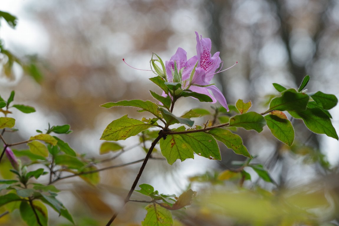 ���`�c�c�W