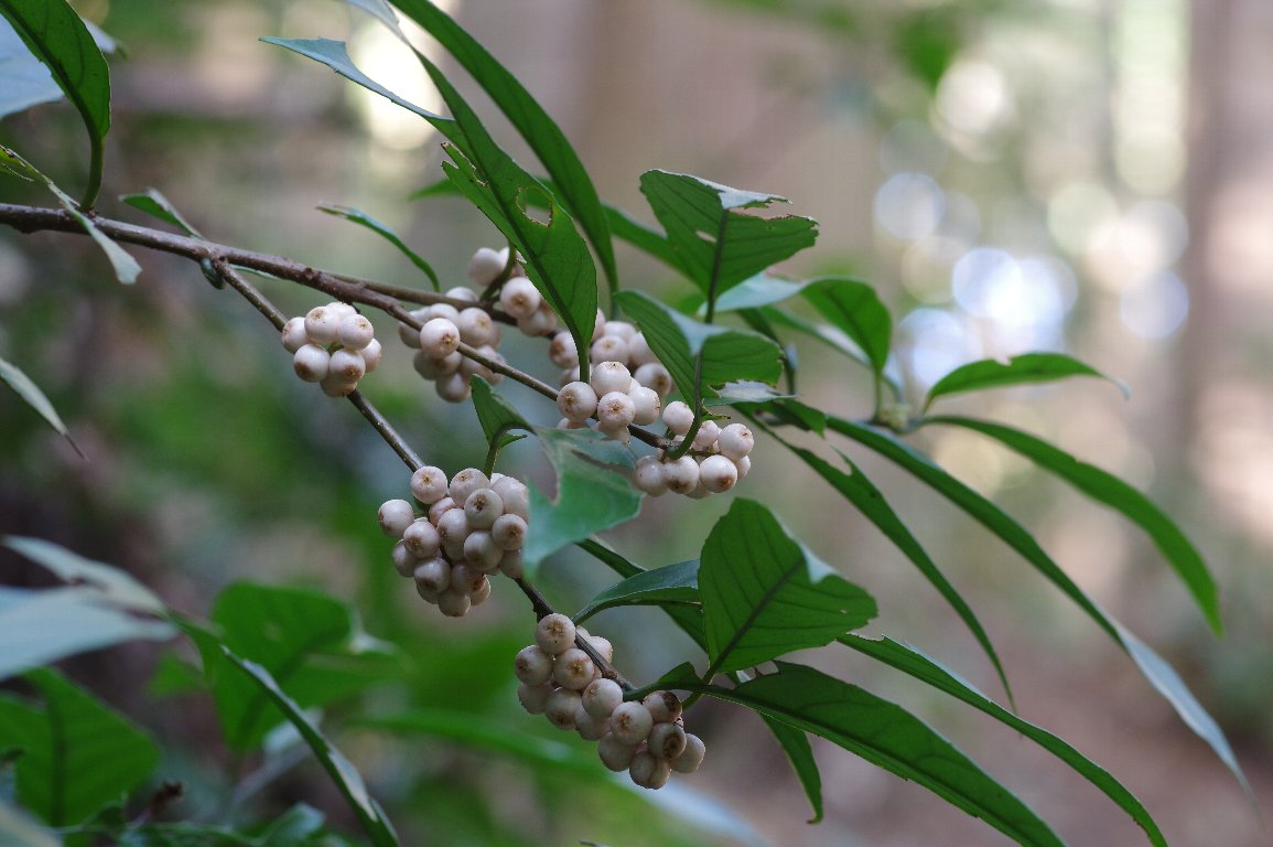 �C�Y�Z�������E