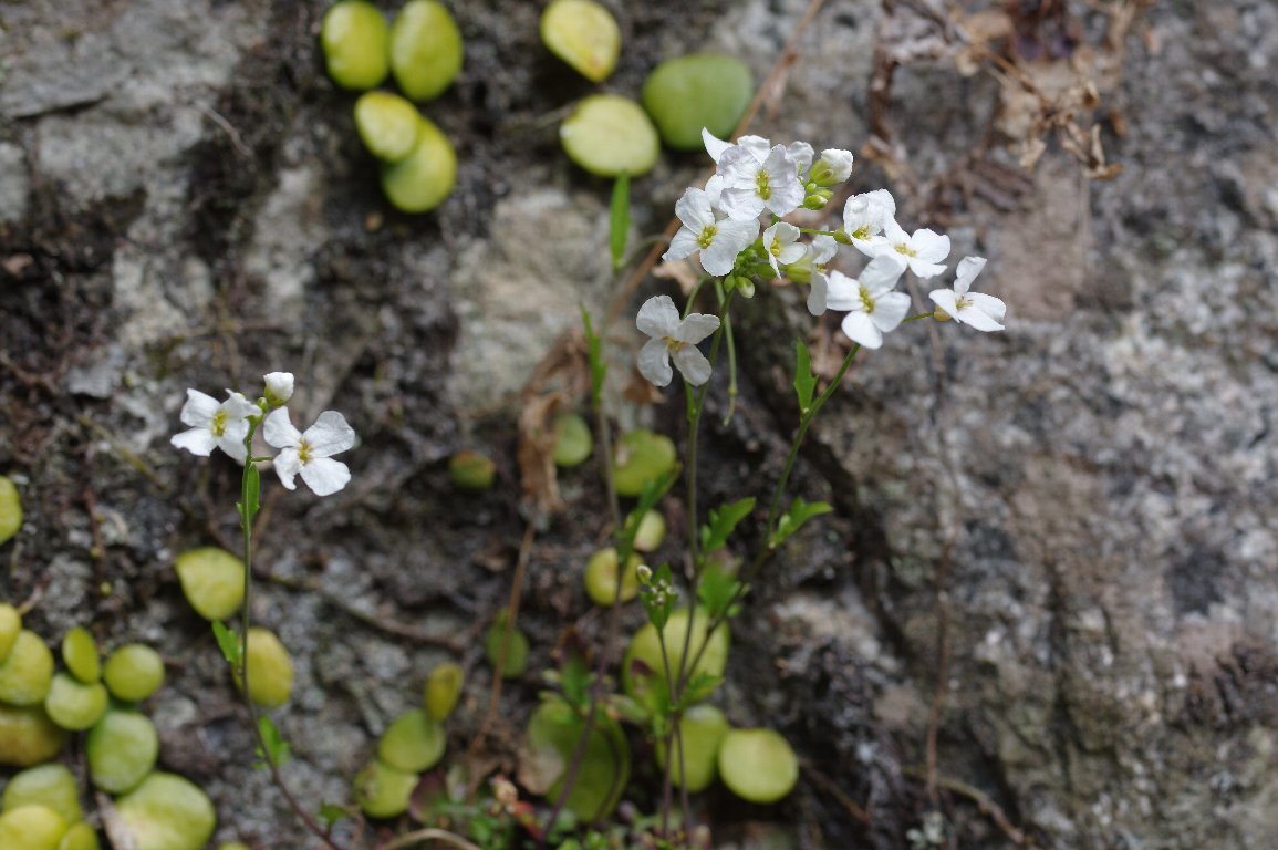 �n�N�T���n�^�U�I