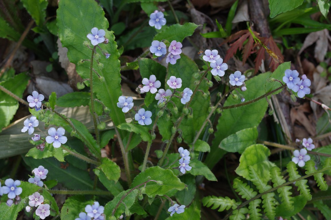 ���}�����\�E