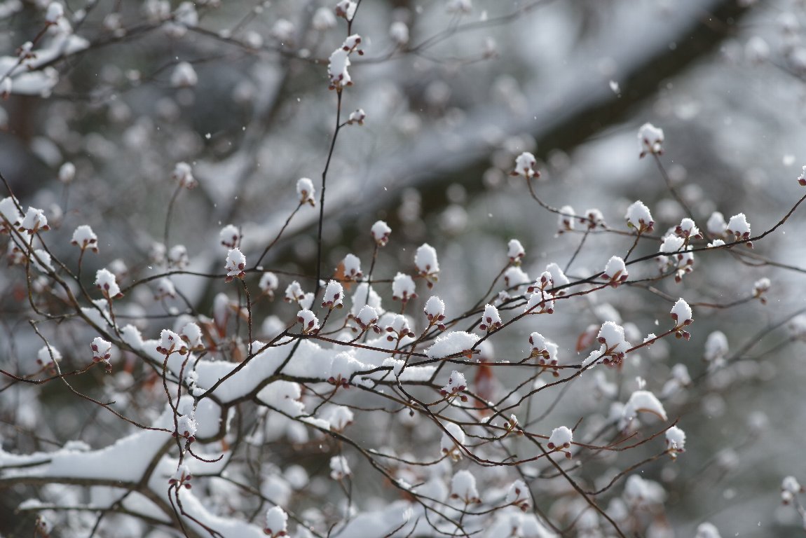 �N�����W