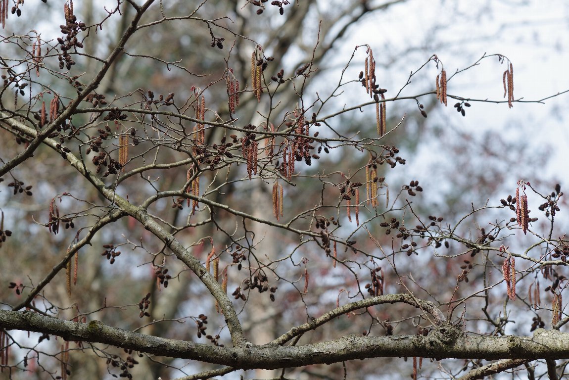 �P���}�n���m�L