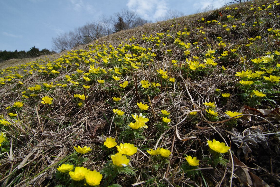 �~�`�m�N�t�N�W���\�E