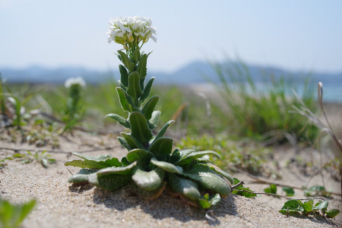 �n�}�n�^�U�I