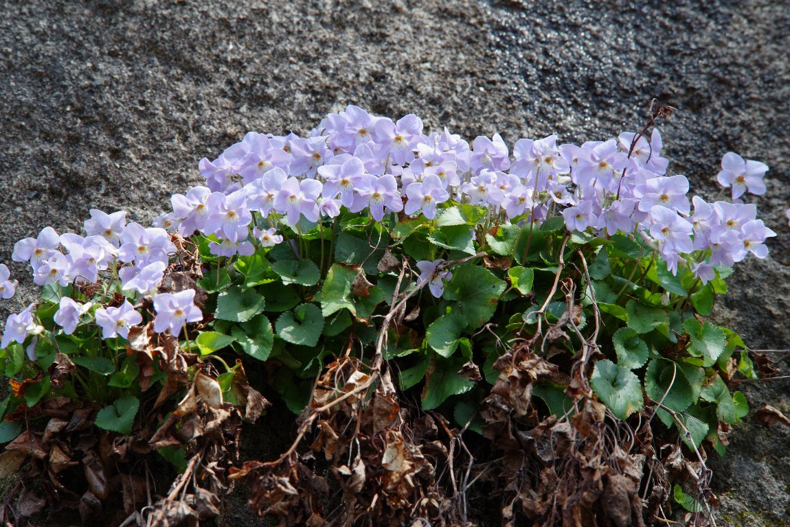 �^�`�c�{�X�~��