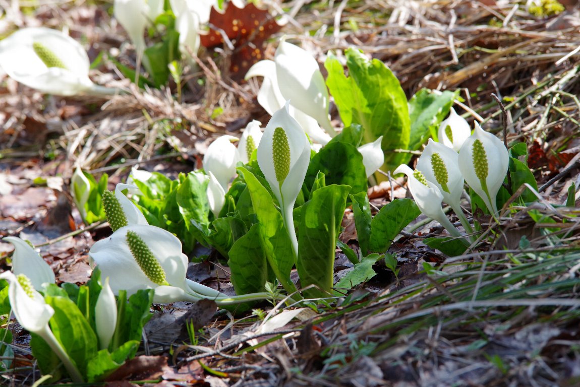 �~�Y�o�V���E