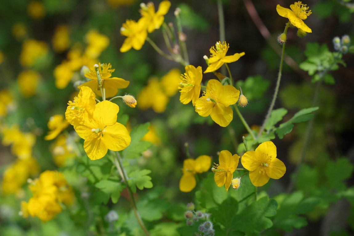 �N�T�m�I�E