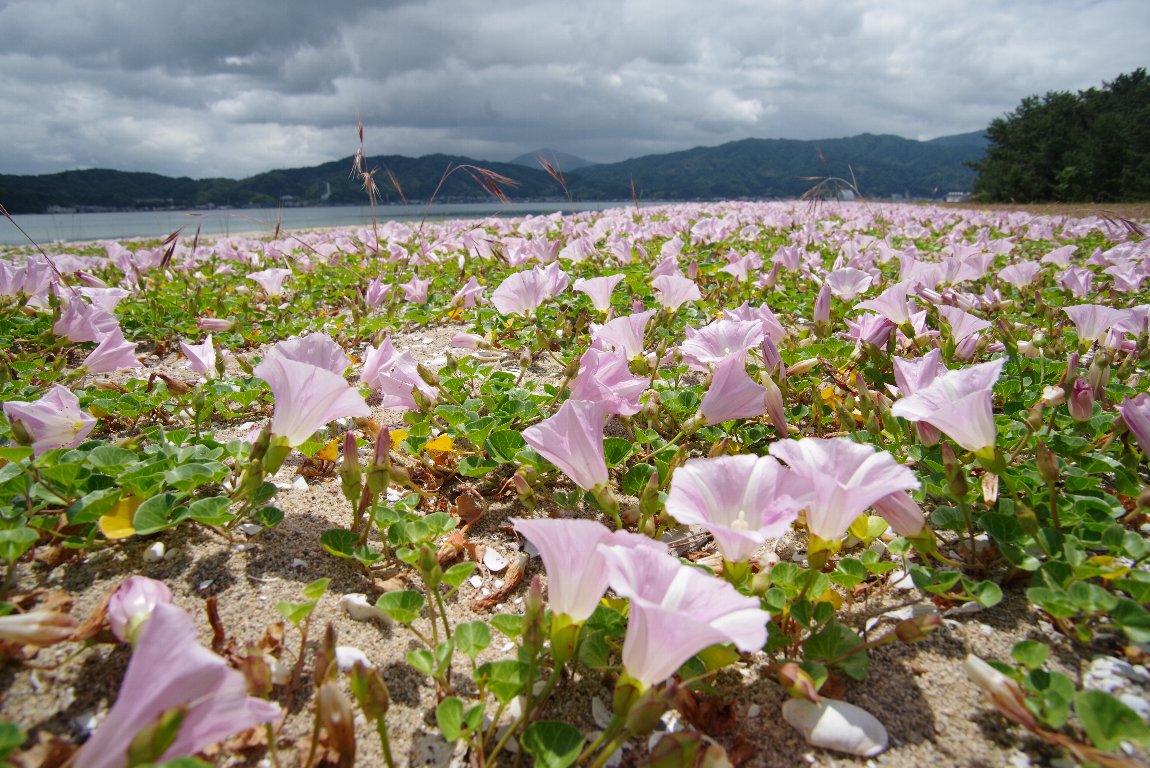 �n�}�q���K�I