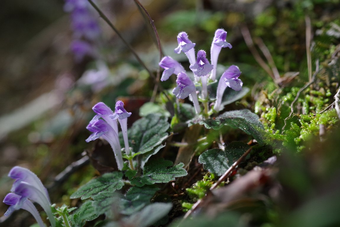 �V�\�o�^�c�i�~�\�E