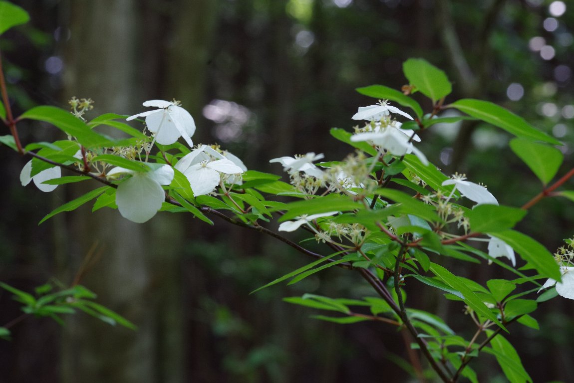 �R�K�N�E�c�M