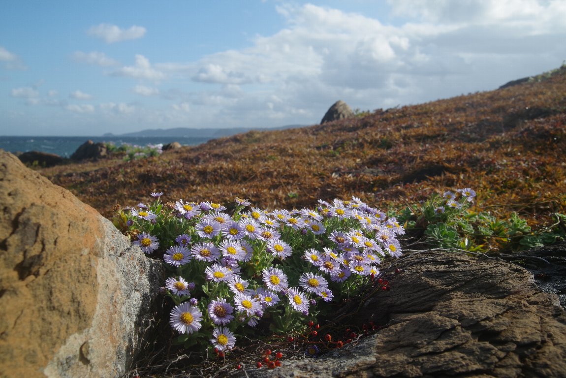 �_���}�M�N