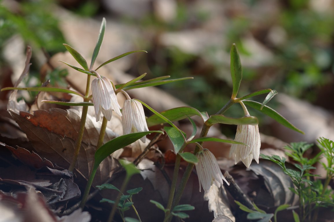 �z�\�o�i�R�o�C��