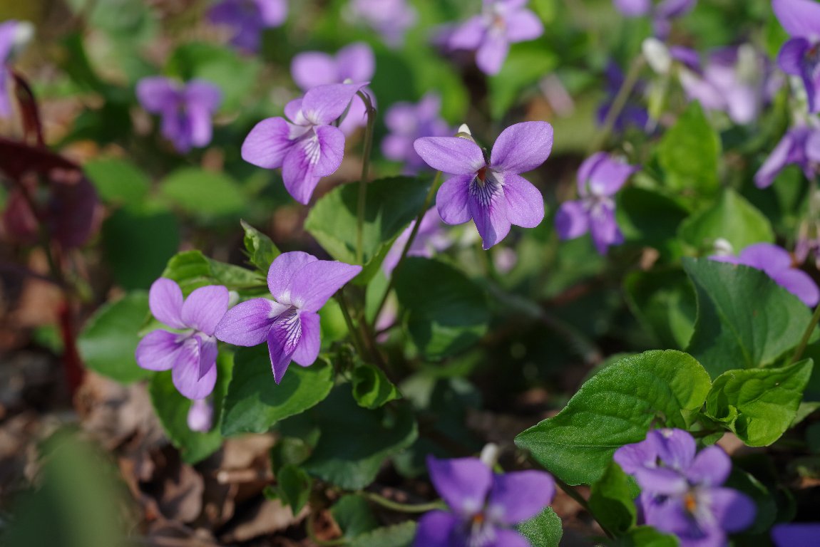 �I�I�^�`�c�{�X�~��