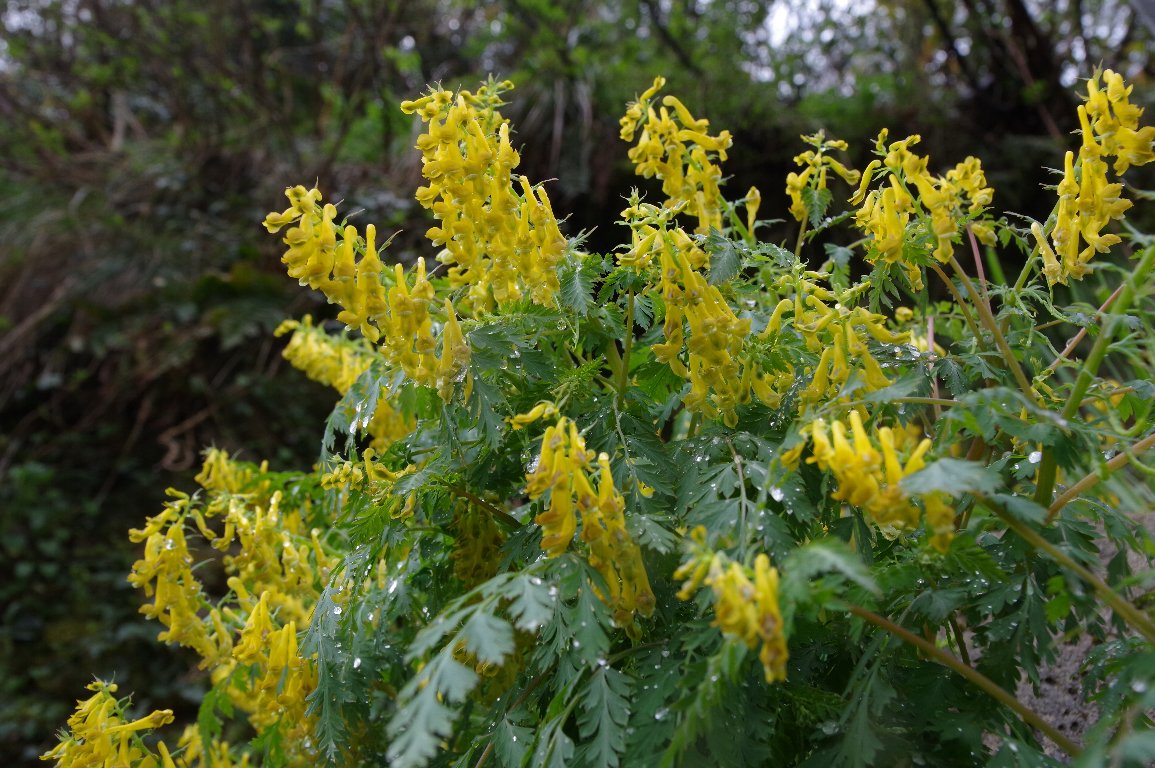 �~���}�L�P�}��