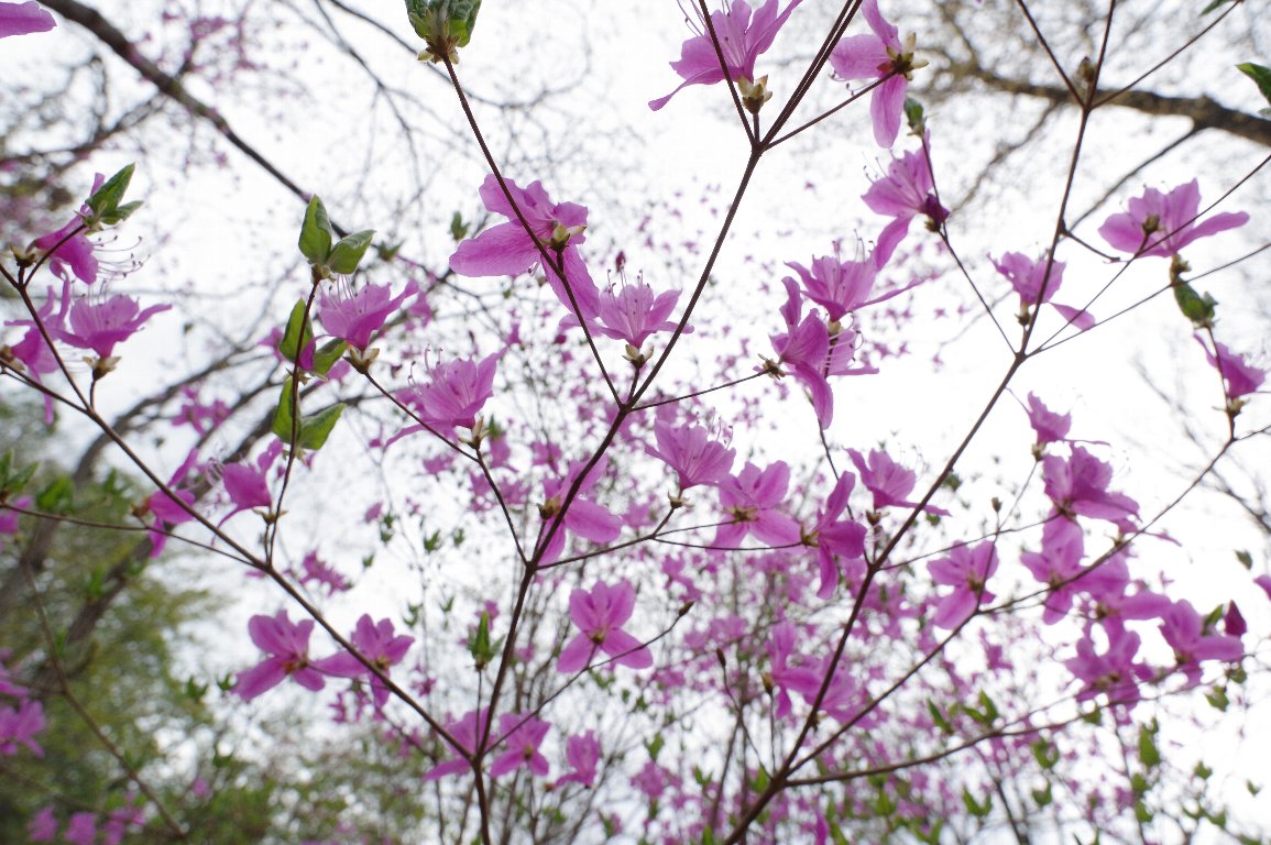 �R�o�m�~�c�o�c�c�W