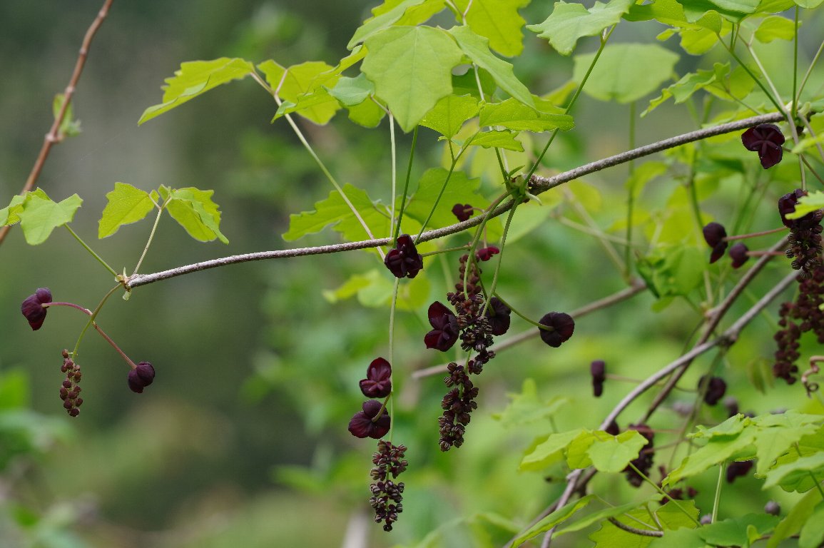 �~�c�o�A�P�r