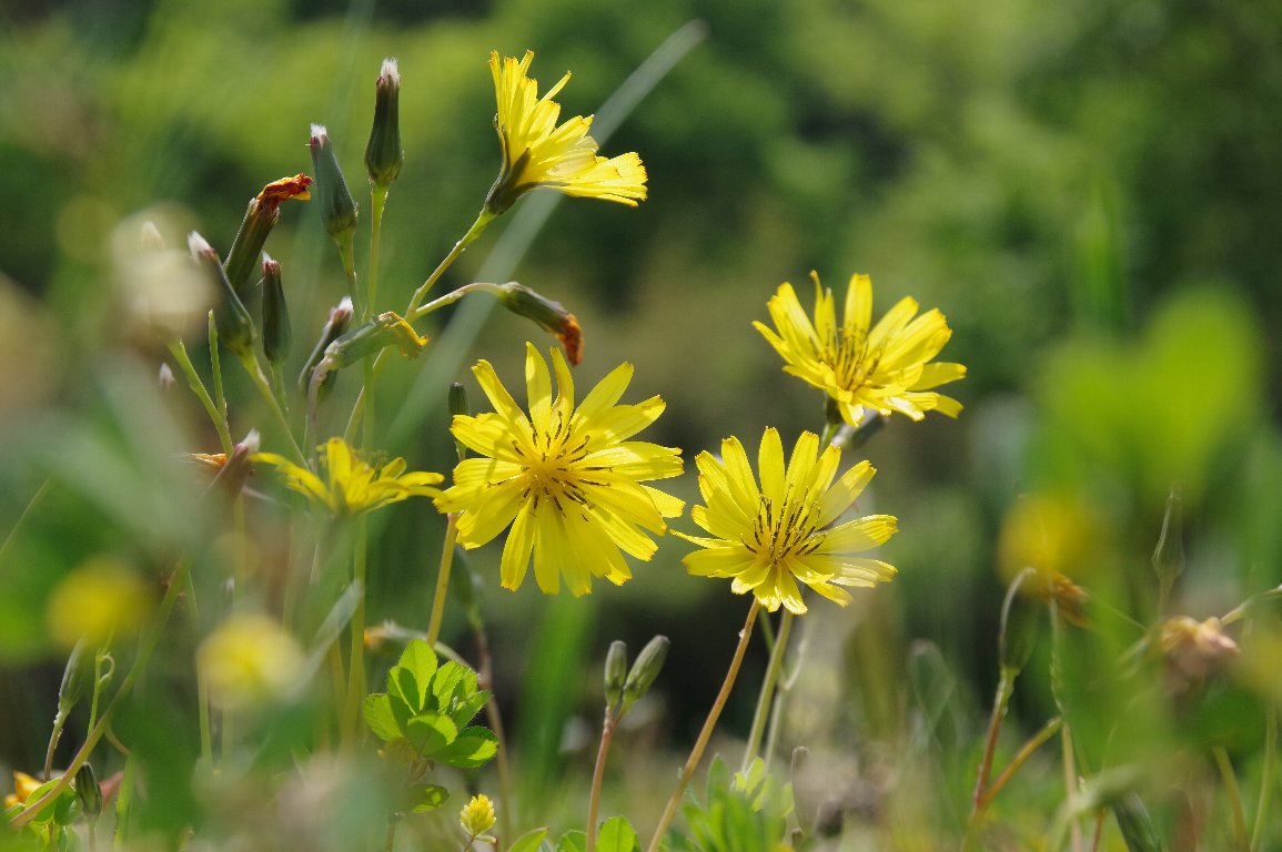 �I�I�W�V�o��