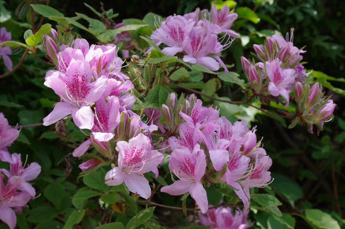 ���`�c�c�W