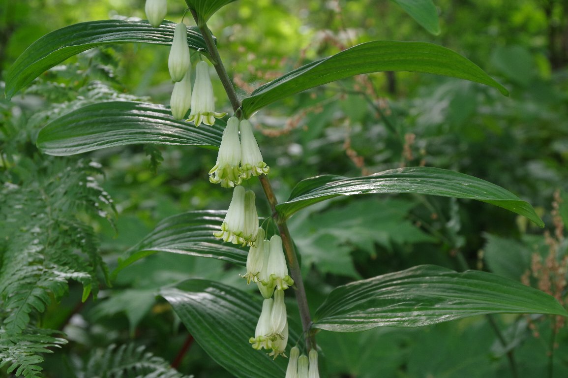 �I�I�i���R����