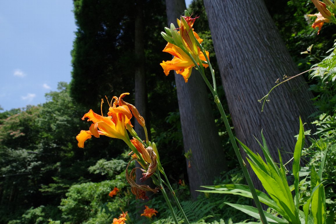 ���u�J���]�E