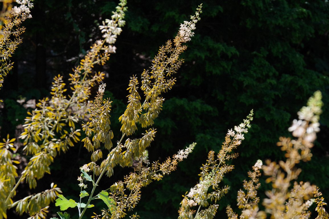 �^�P�j�O�T