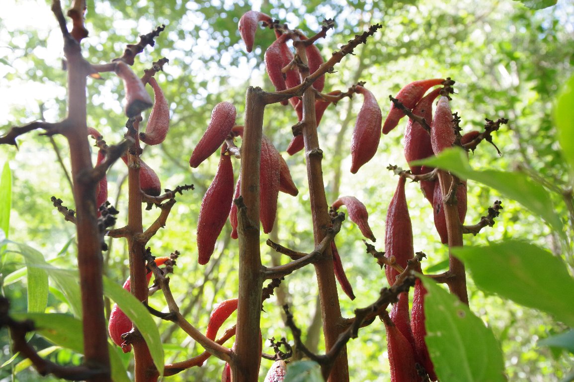 �c�`�A�P�r